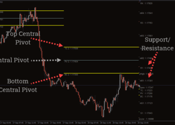 CPR   സെൻട്രൽ പിവട്ട് റേഞ്ച്