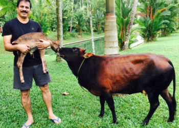 കേരളത്തിന്റെ സ്വന്തം ചില കെ-ഓഹരികൾ