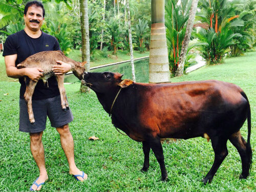 കേരളത്തിന്റെ സ്വന്തം ചില കെ-ഓഹരികൾ