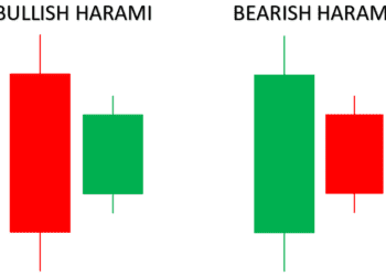 ഹരാമി പാറ്റേൺ